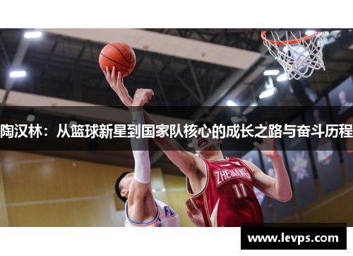 陶汉林：从篮球新星到国家队核心的成长之路与奋斗历程